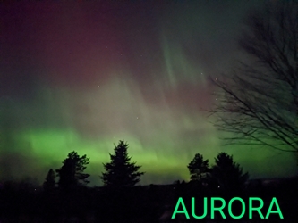 Client Portal Home for Aurora Counseling Services PLLC