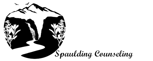 Client Portal Home for Spaulding Counseling Services