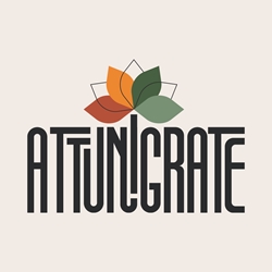 Client Portal Home for Attunigrate LLC