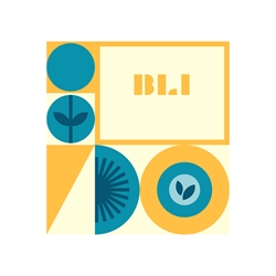 Client Portal Home for Bright Life Institute