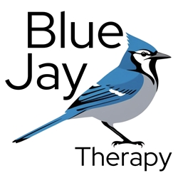 Client Portal Home for Blue Jay Therapy LLC