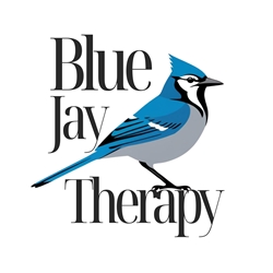 Client Portal Home for Blue Jay Therapy LLC