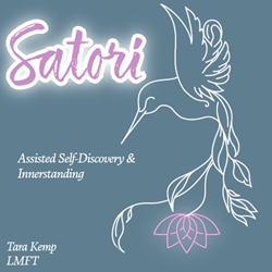 Client Portal Home for Satori