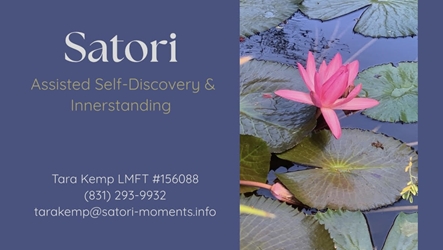 Client Portal Home for Satori