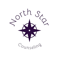 Client Portal Home for North Star Counseling, PLLC