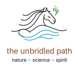 Client Portal Home for The Unbridled Path, LLC