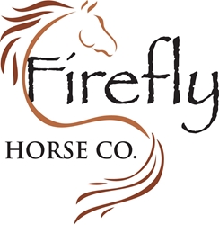Client Portal Home for Arima Counseling, LLC DBA Firefly Healing Arts