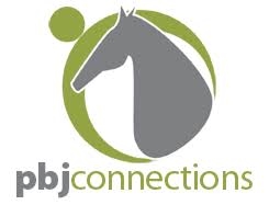 Client Portal Home for PBJ Connections Inc