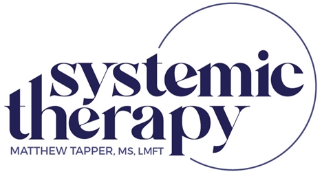 Client Portal Home for Matthew Tapper's Systemic Therapy