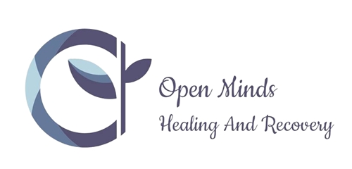 Client Portal Home for Open Minds, LLC
